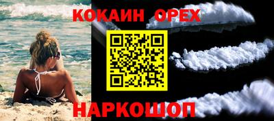 шишки Нарткала