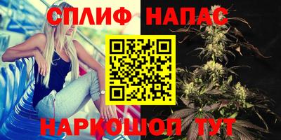 шишки Нарткала