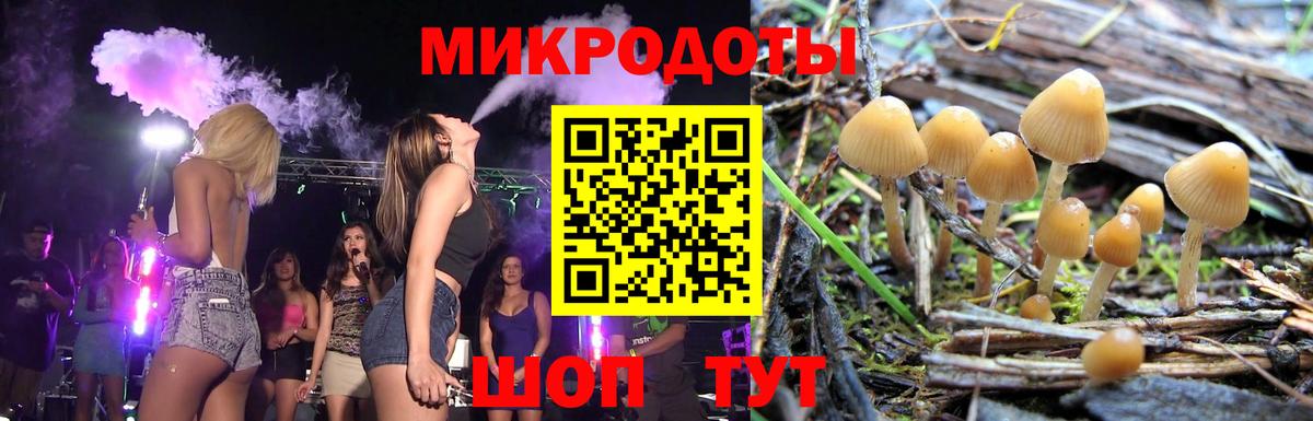 Галлюциногенные грибы GOLDEN TEACHER Таганрог